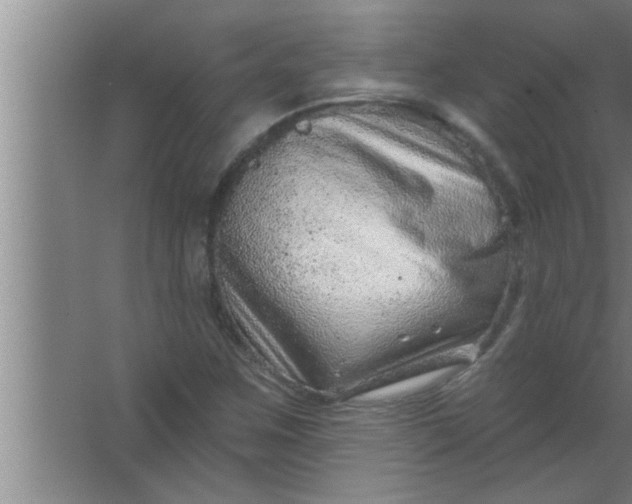 X0000063481259200602031916