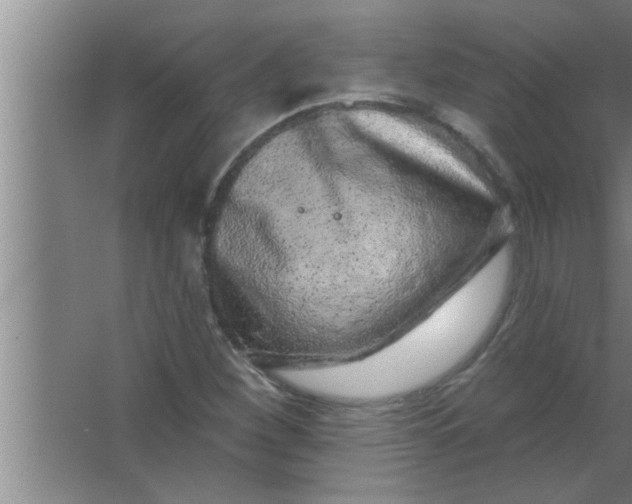 X0000063481260200602031916