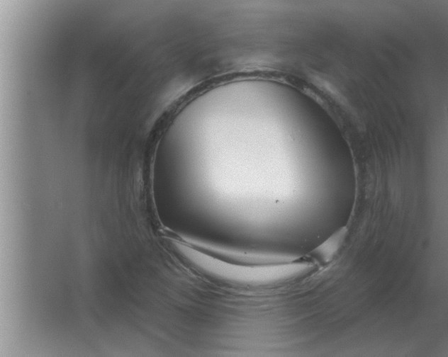 X0000063481261200602031916