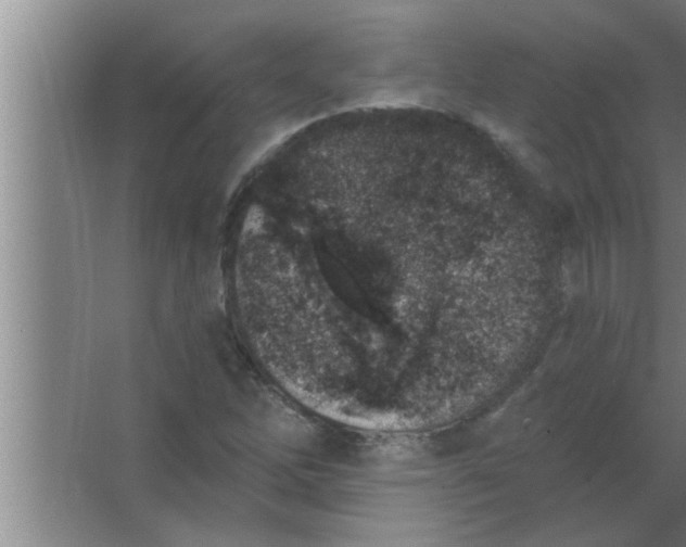 X0000063481262200602031916