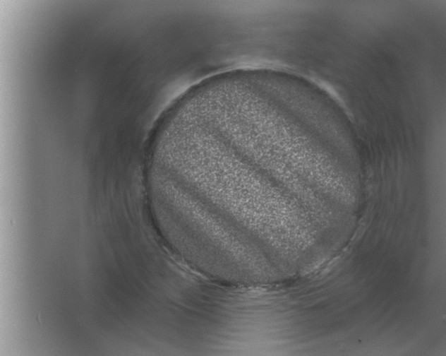 X0000063481263200602031916