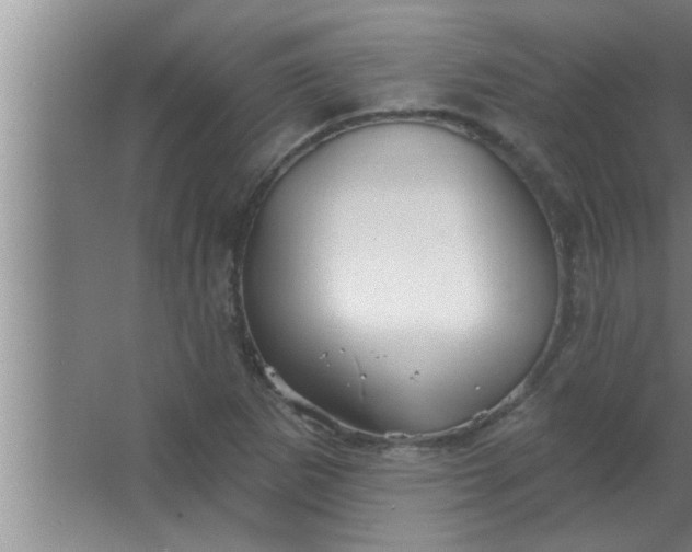 X0000063481265200602031916