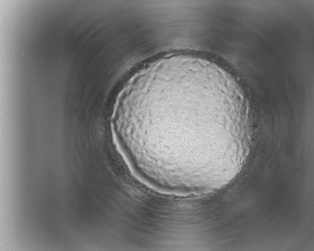 X0000063481266200602031916