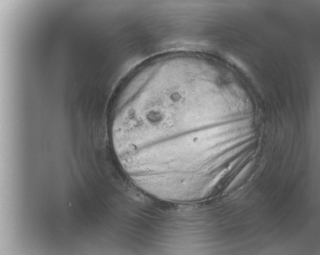 X0000063481267200602031916