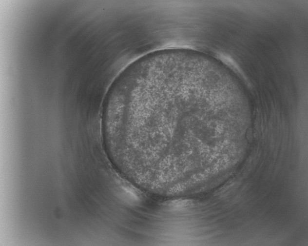 X0000063481268200602031916