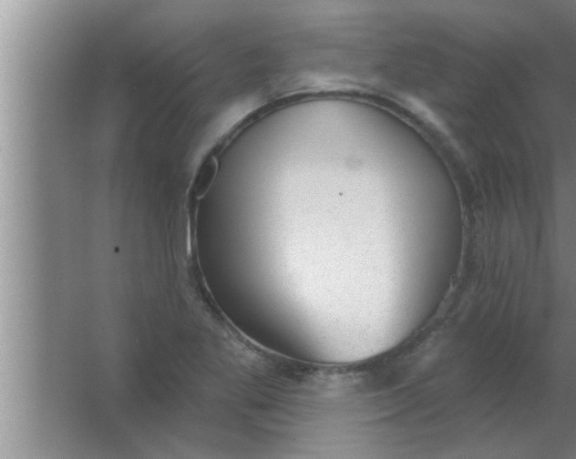 X0000063481269200602031916