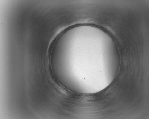 X0000063481270200602031916