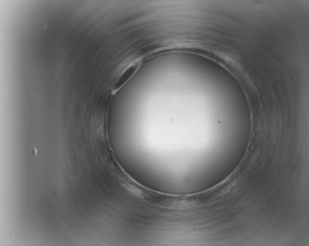 X0000063481273200602031916