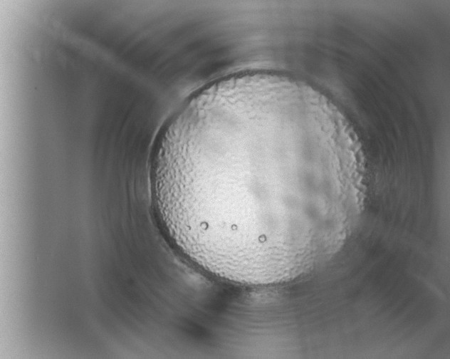 X0000063481274200602031916