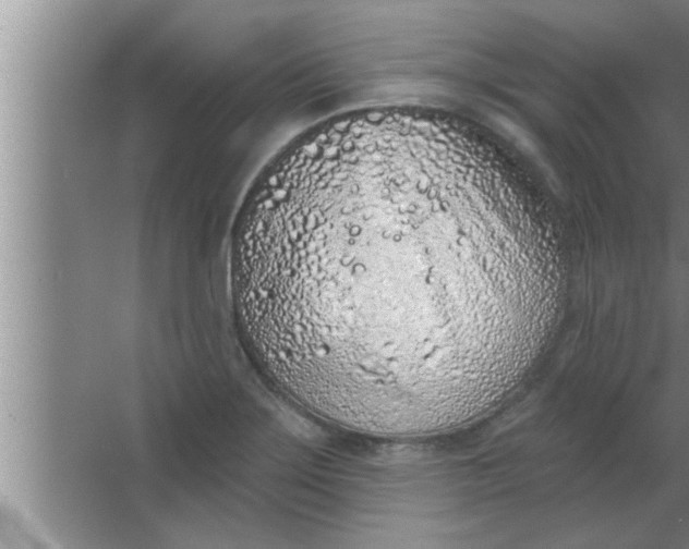 X0000063481275200602031916