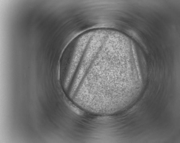 X0000063481276200602031916