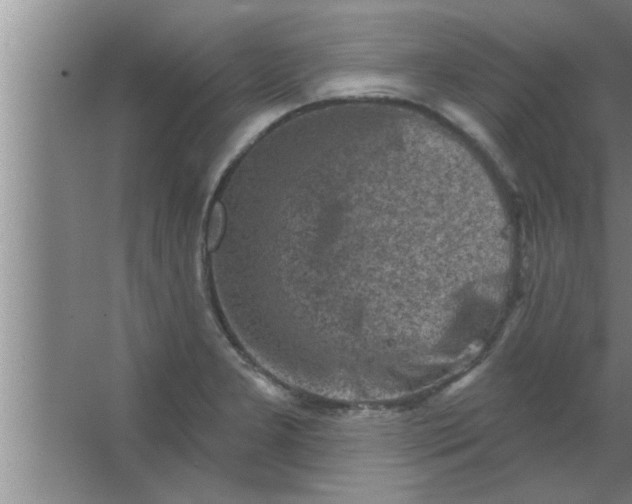 X0000063481277200602031916