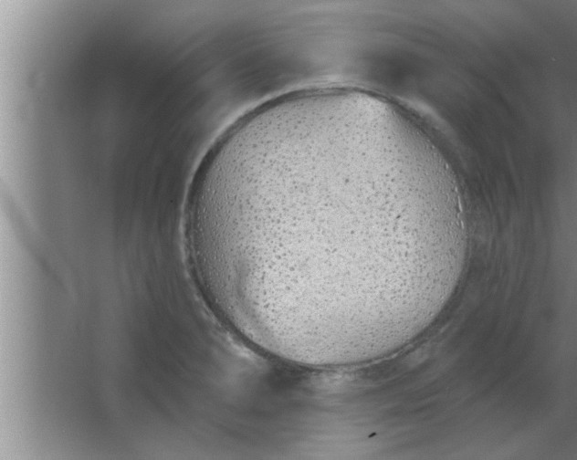 X0000063481278200602031916