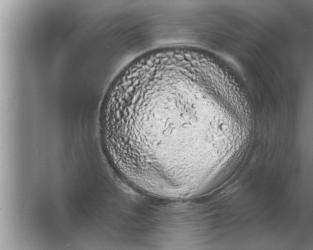 X0000063481279200602031916