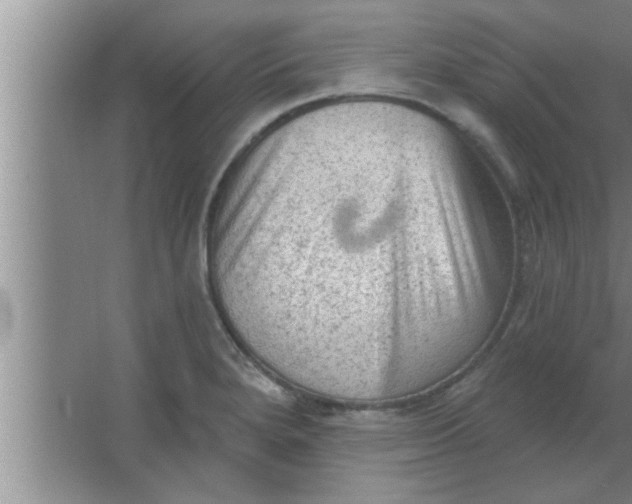 X0000063481280200602031916