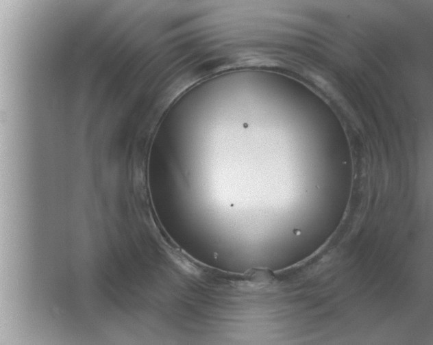 X0000063481281200602031916