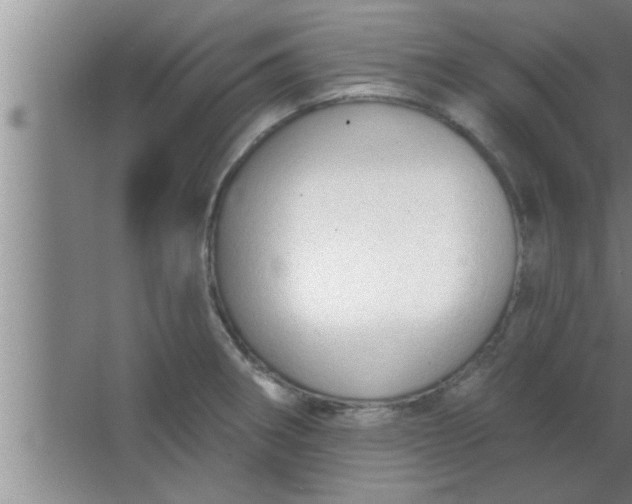 X0000063481282200602031916