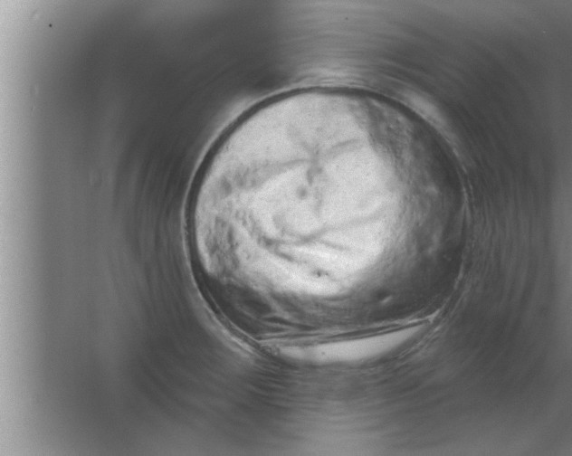 X0000063481283200602031916