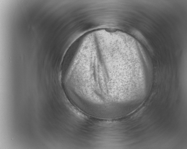 X0000063481284200602031916