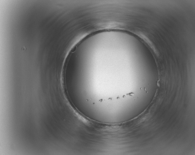 X0000063481285200602031916