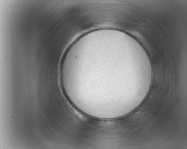 X0000063481286200602031916