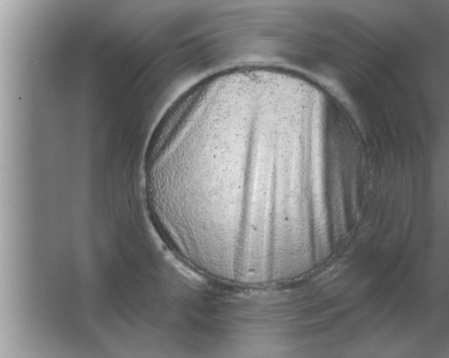 X0000063481287200602031916