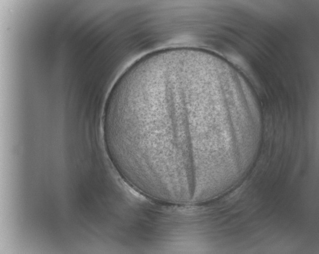 X0000063481288200602031916