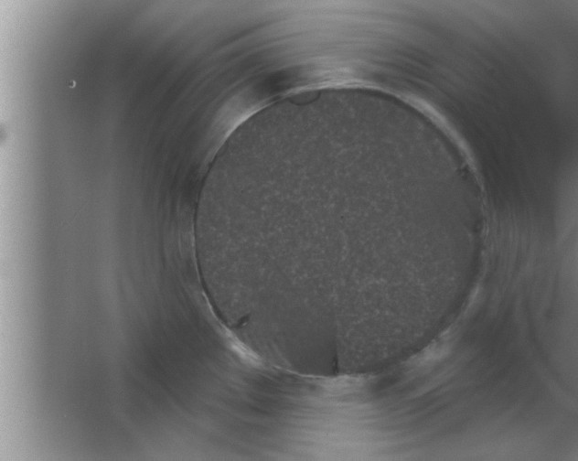 X0000063481289200602031916