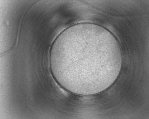 X0000063481290200602031916