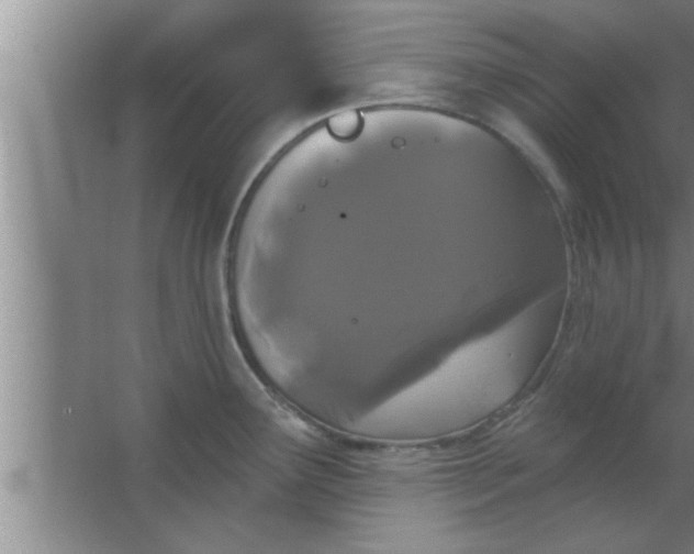 X0000063481291200602031916