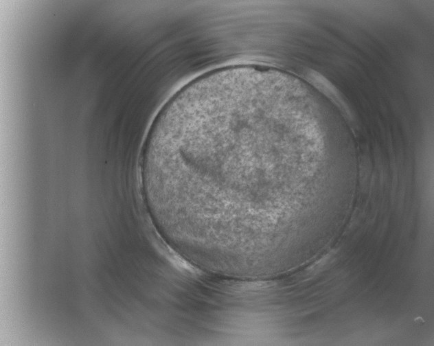 X0000063481292200602031916