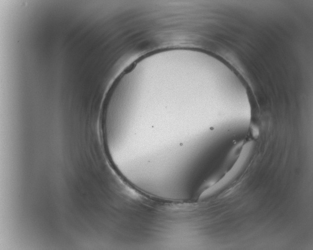 X0000063481293200602031916