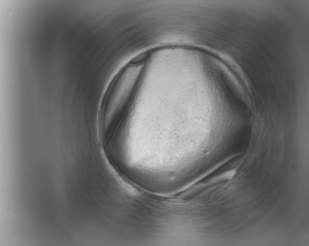 X0000063481295200602031916