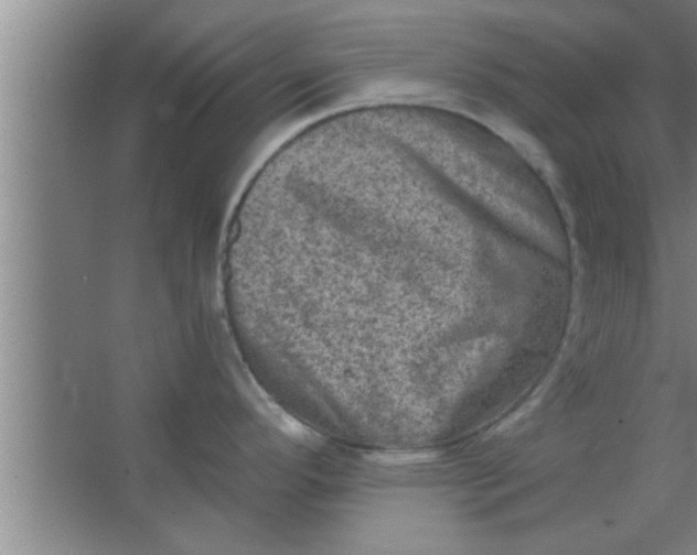 X0000063481296200602031916