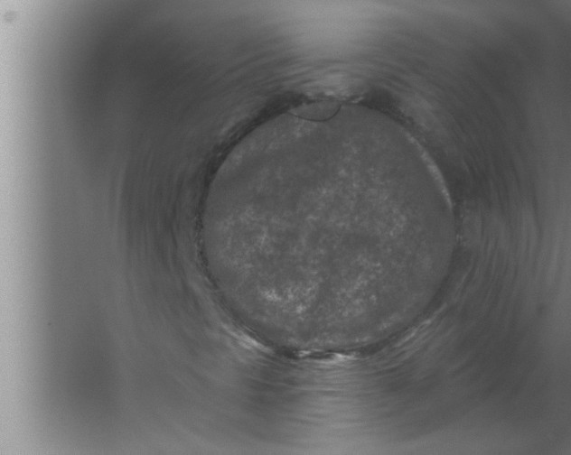 X0000063481297200602031915