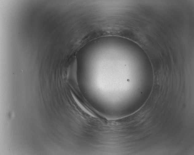 X0000063481298200602031915