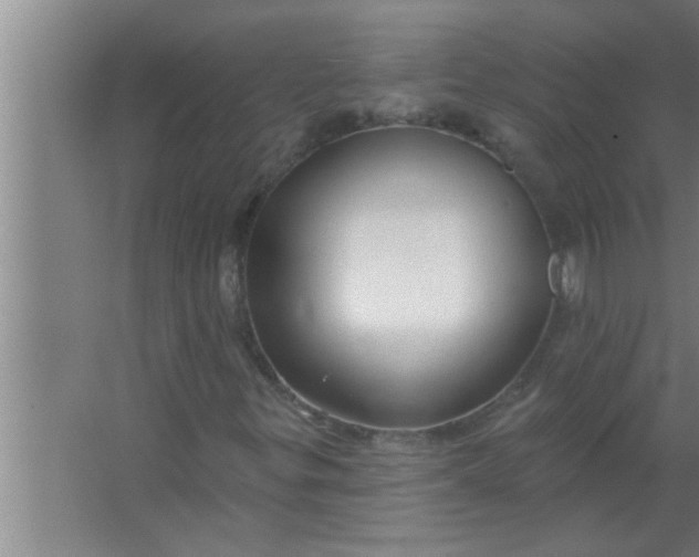 X0000063481299200602031915