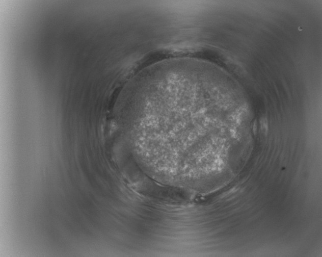 X0000063481300200602031915