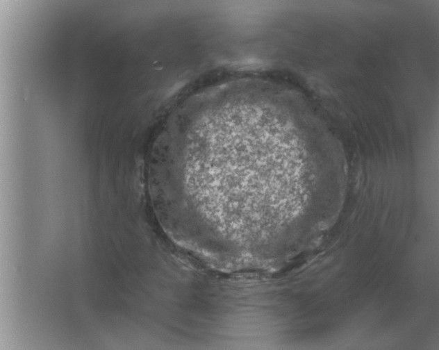 X0000063481301200602031915