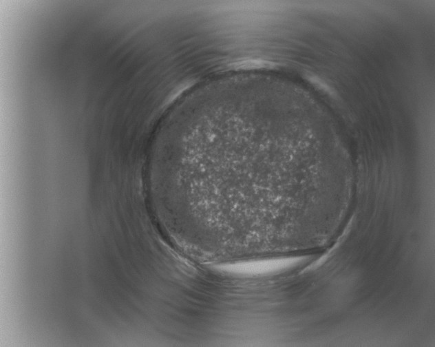 X0000063481305200602031915