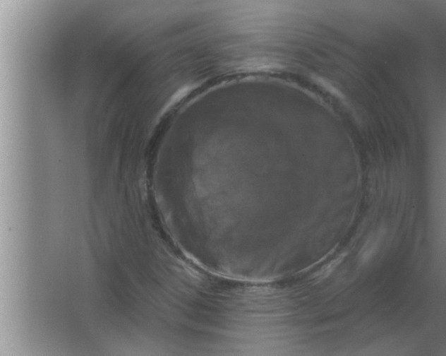 X0000063481306200602031915