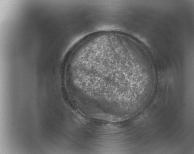 X0000063481311200602031915