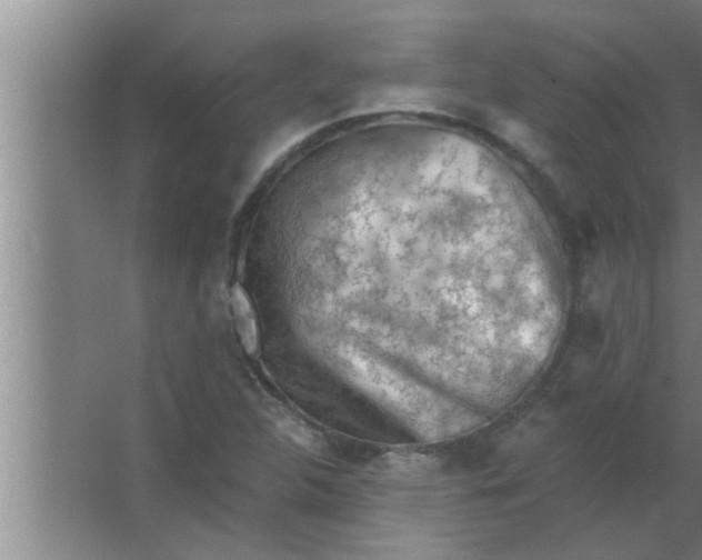 X0000063481312200602031915