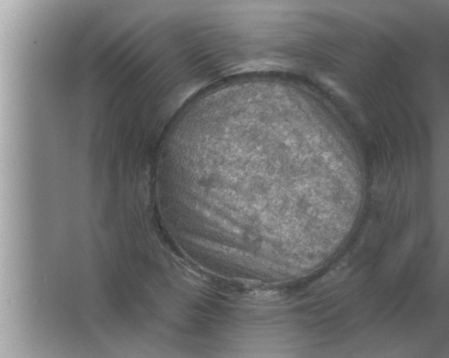 X0000063481313200602031915