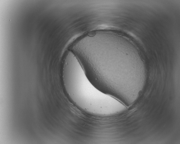 X0000063481314200602031915