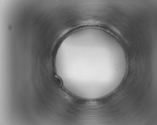 X0000063481315200602031915