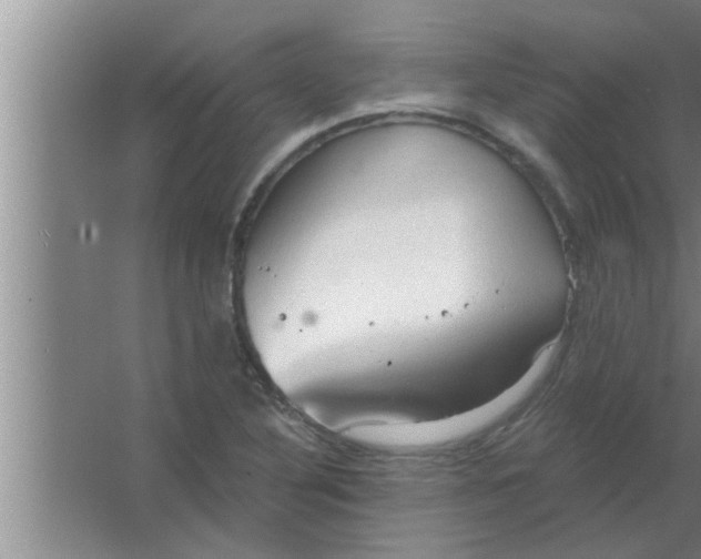 X0000063481316200602031915