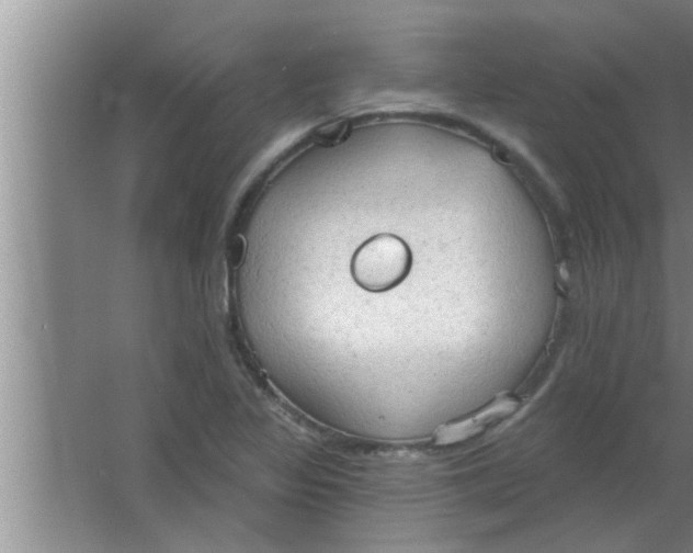 X0000063481317200602031915