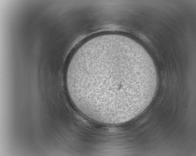 X0000063481318200602031915