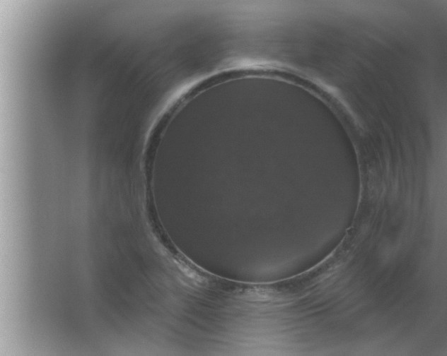 X0000063481319200602031915